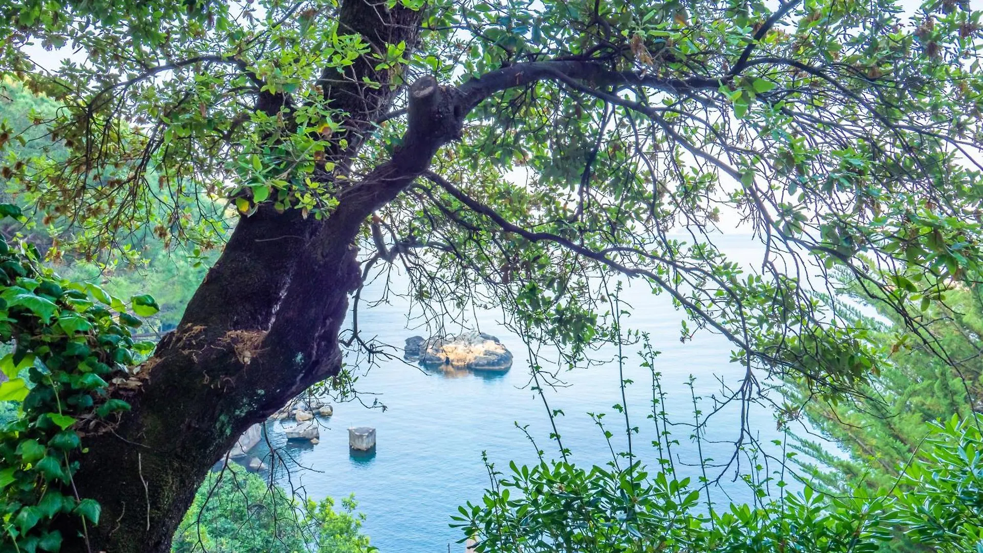 Hotel Il Nido Tellaro