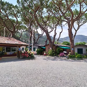 Roma *** Ventimiglia